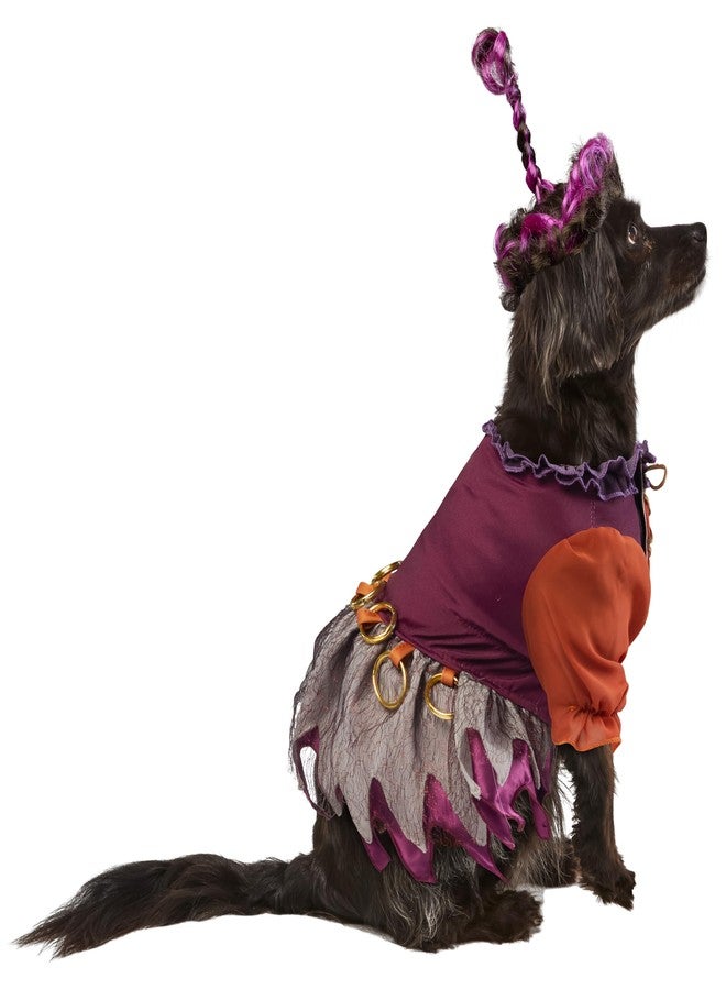 روبيز زي تنكري للحيوانات الأليفة مستوحى من فيلم ديزني هوكوس بوكوس: زي ماري ساندرسون للكلاب أو القطط من روبيز، مقاس صغير - Image 3